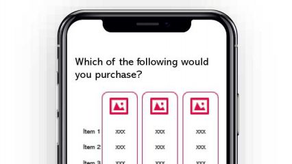 Methodology: Choice-Based Conjoint
