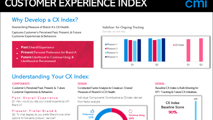 Infographic: Customer Experience Index