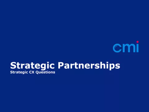 strategic partnership framework
